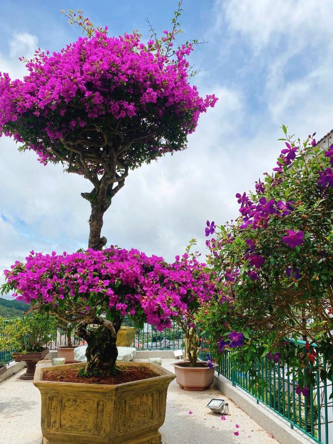 Nang Mai Homestay Dalat Exteriér fotografie